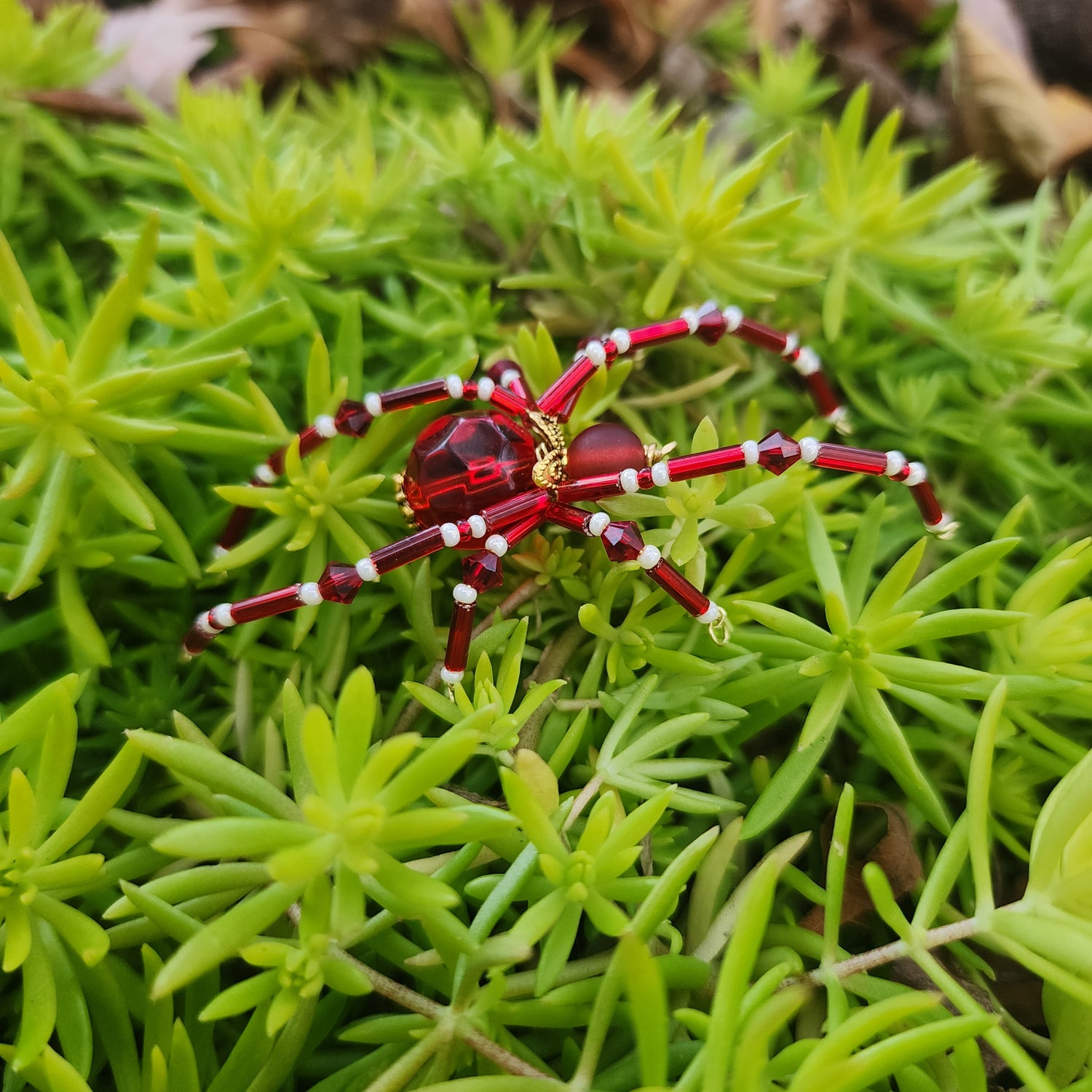 Spiders