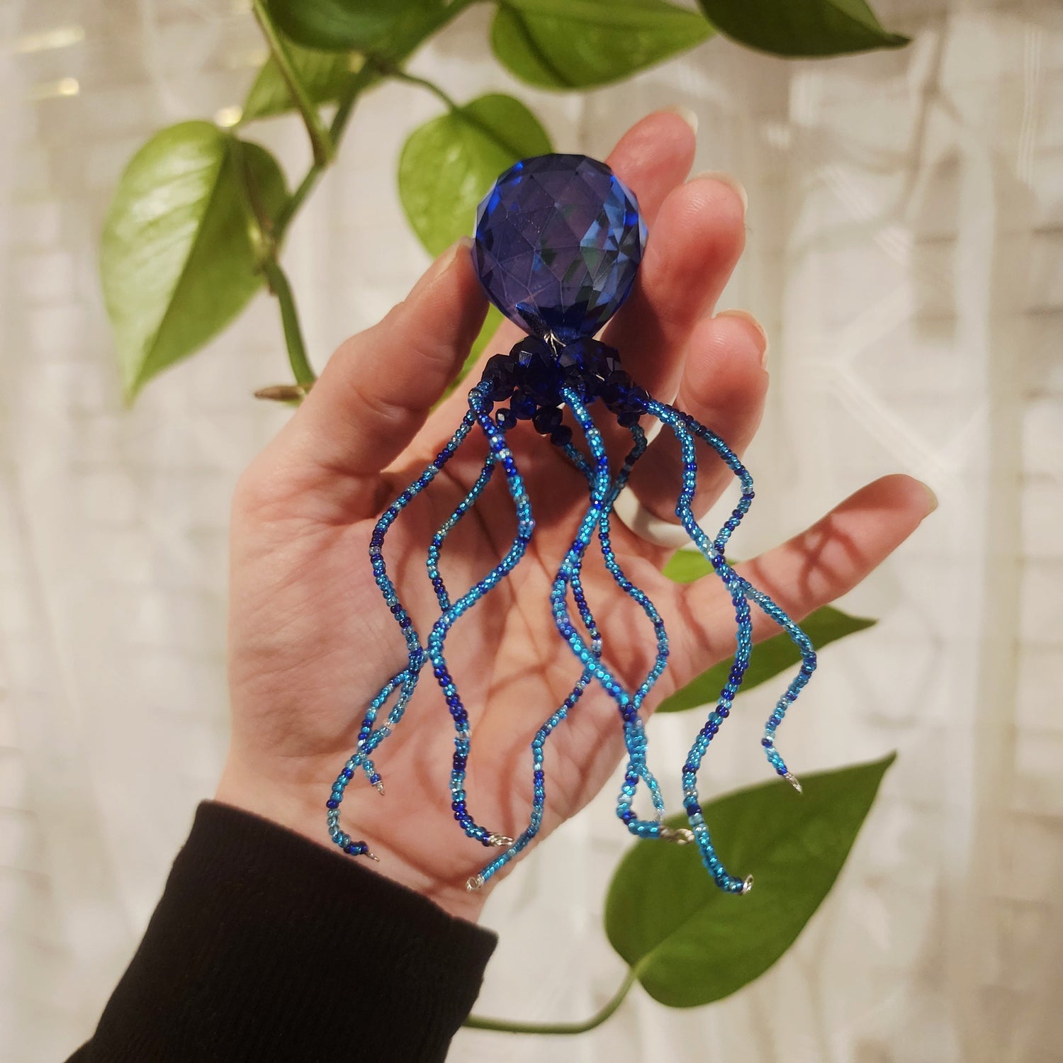 Sea Creatures